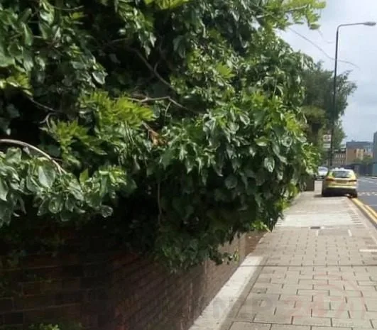 Man in 50s Airlifted to Hospital After Brutal Silvertown Head Attack – No Arrests Yet
