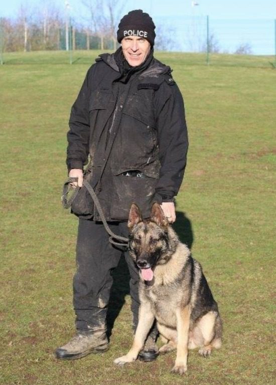 Police dog stabbed during incident in Hanley