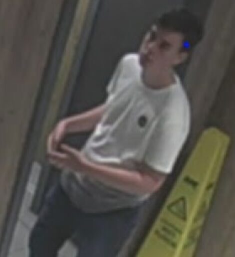 Detectives investigating the rape of a young woman in central London have released an image of a man they want to speak to