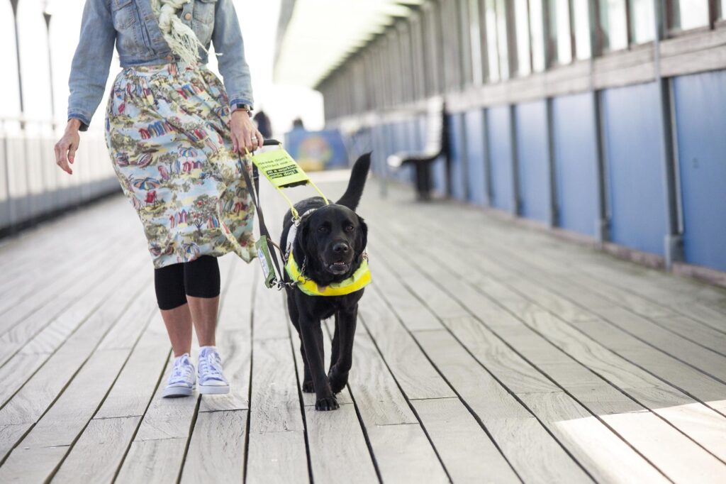 Thames Valley Police Launch VIP Password System to Keep Visually Impaired Safe from Fake Officers