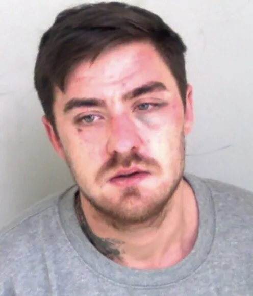 A man who dragged an officer along the ground with his car and punched another in the head has been jailed for four years and three months.