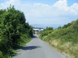 Officers investigating an incident involving a dog on Portland are appealing for anyone with information to come forward