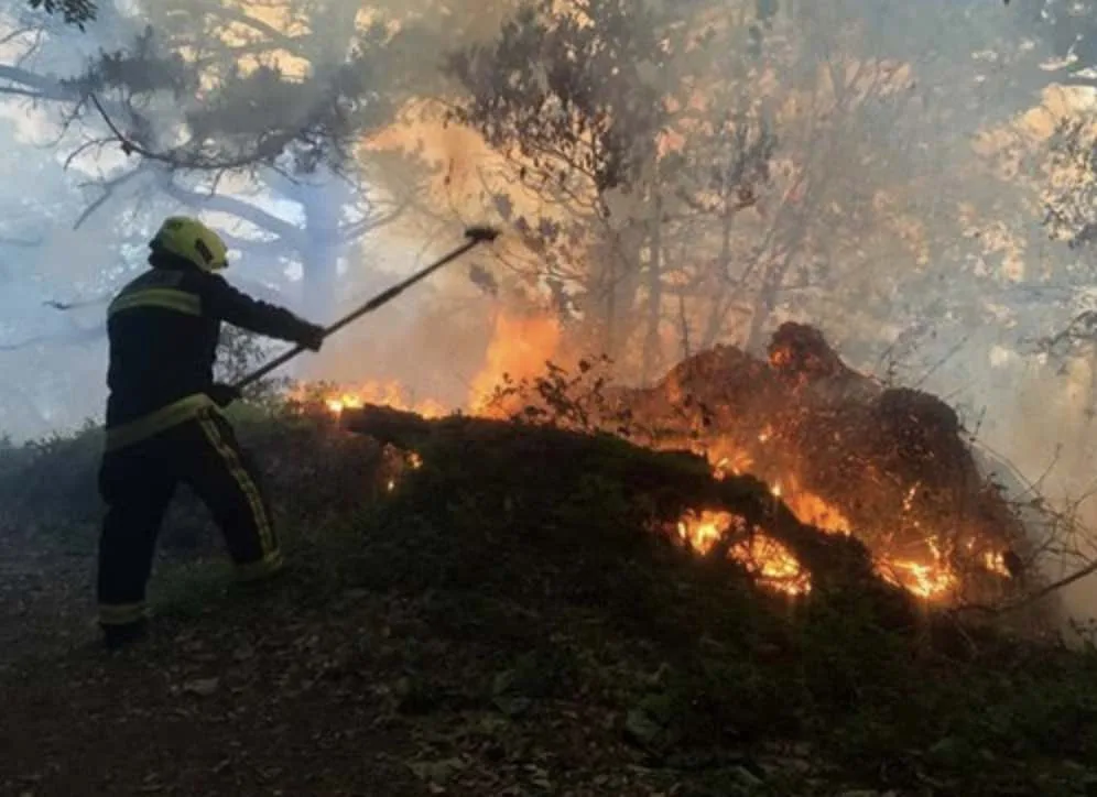 Fire Service Warns: Disposable BBQs Spark Wildfire Risk This Holiday – Follow Safety Tips