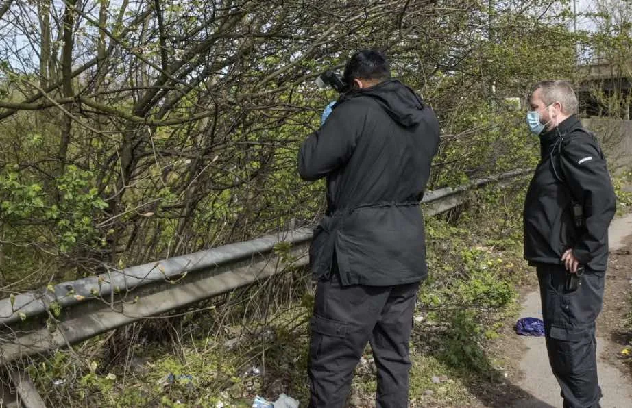 Human remains have been found in a wooded area near the M6 Motorway in the West Midlands