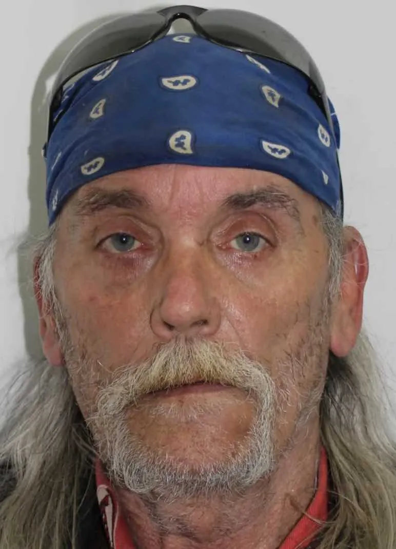 Manhunt Intensifies for Two Teens After Brutal Lullingstone Castle Murder