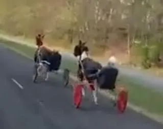 Secret Horse Pub Crawl Gallops Across Portsdown Hill Amid Police Watch