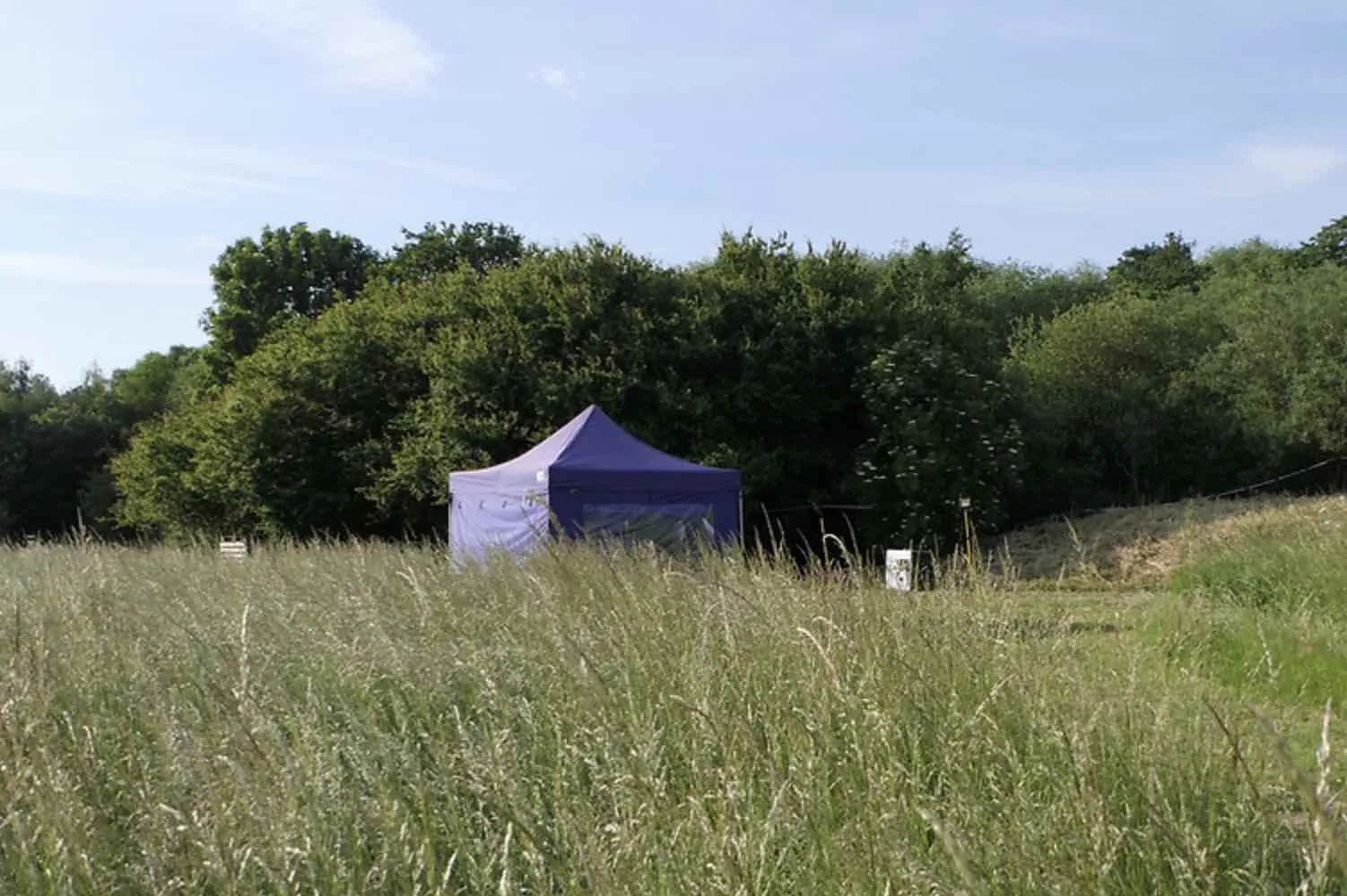 Human remains found in search for Agnes Akom in Neasden Recreation Park