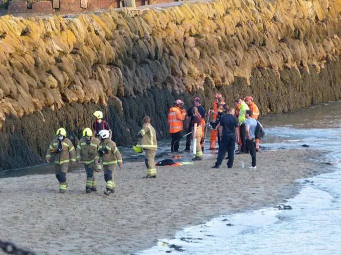 Firefighters Race to Rescue Puppy Trapped in Folkestone Harbour Wall Before Tide Cuts Off Access