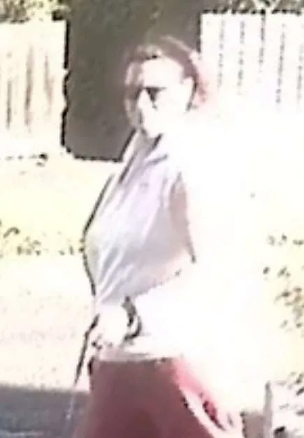 Man Bitten by Dog in Whitstable – Police Release CCTV to Find Key Witness