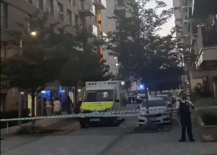 Woman in 50s Dies After Falling from Sixth Floor Balcony in Greenwich