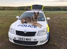 Kent Crime Squad Hits Hard with 46 Charges and 14 Years Jail Time in July Crackdown
