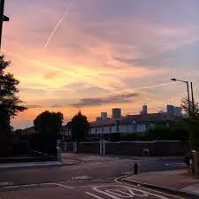 Dog Stabbed in Brutal London Docklands Street Fight – Police Launch Hunt