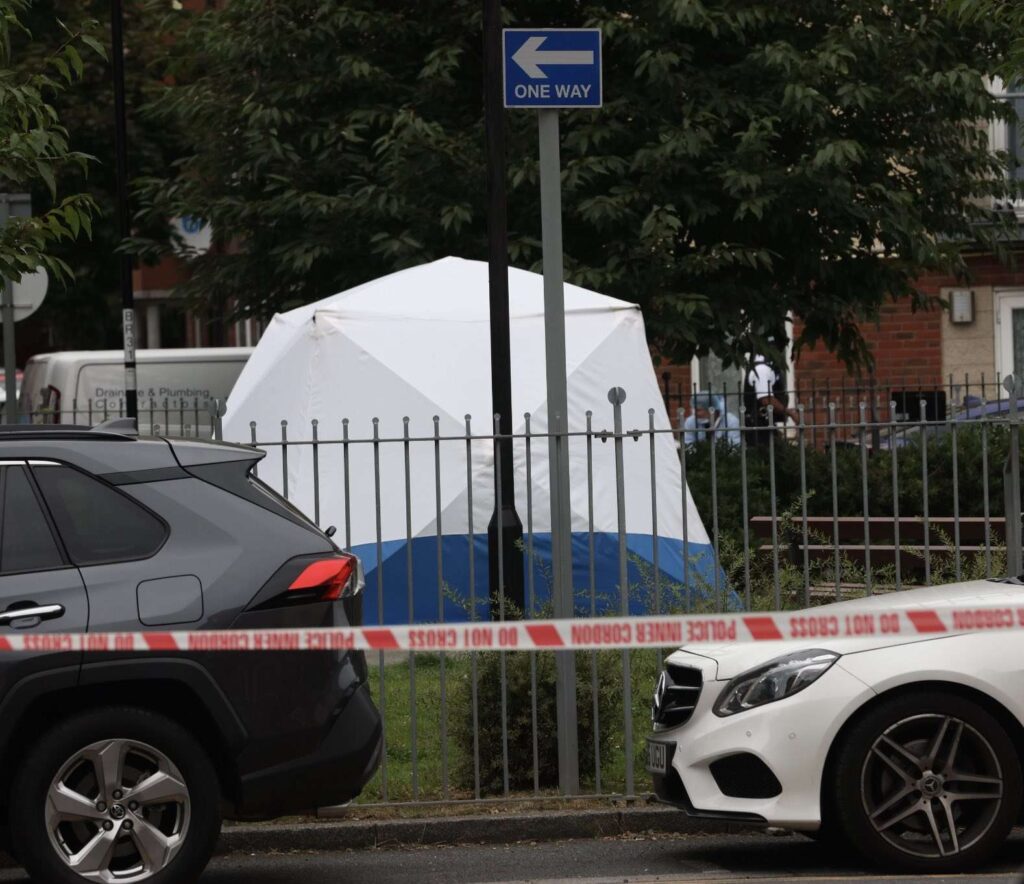 Murder Probe Launched After Man Fatally Stabbed on Leyton’s Beaumont Estate