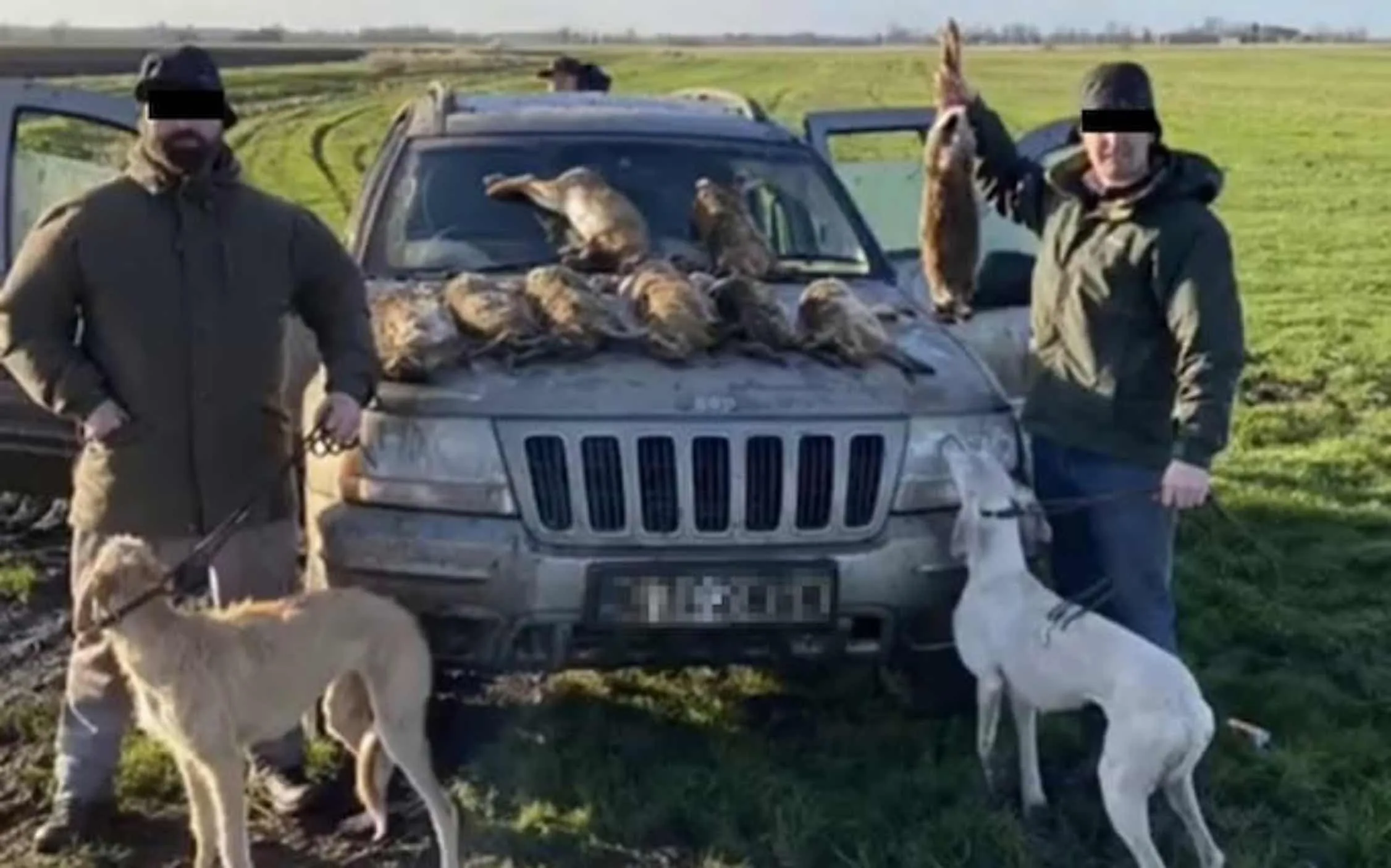 Rural Task Force Seizes £10K and Rescues Cats in Meopham Raid Amid Hare Coursing Crackdown