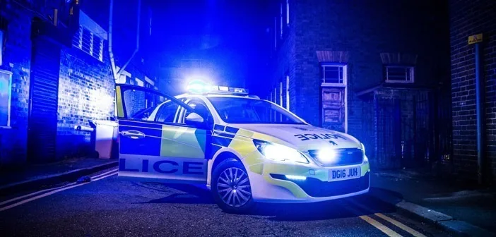 One dead and woman in her 80s fighting for her life in Brentford attack