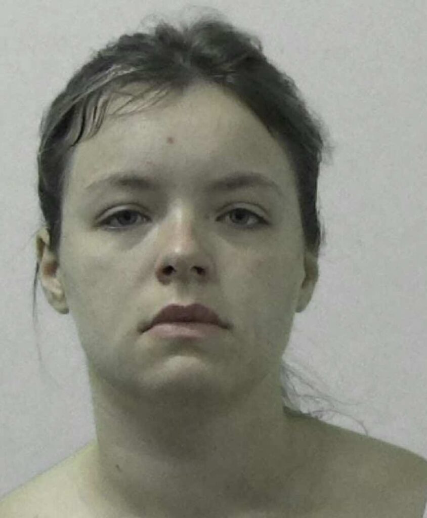 An arsonist who was caught on camera setting fire to her partner’s ex-wife’s home has been jailed
