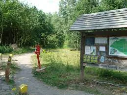 Man Bitten by Off-Leash Boxer Dog in Beacon Wood Park – Police Appeal for Witnesses
