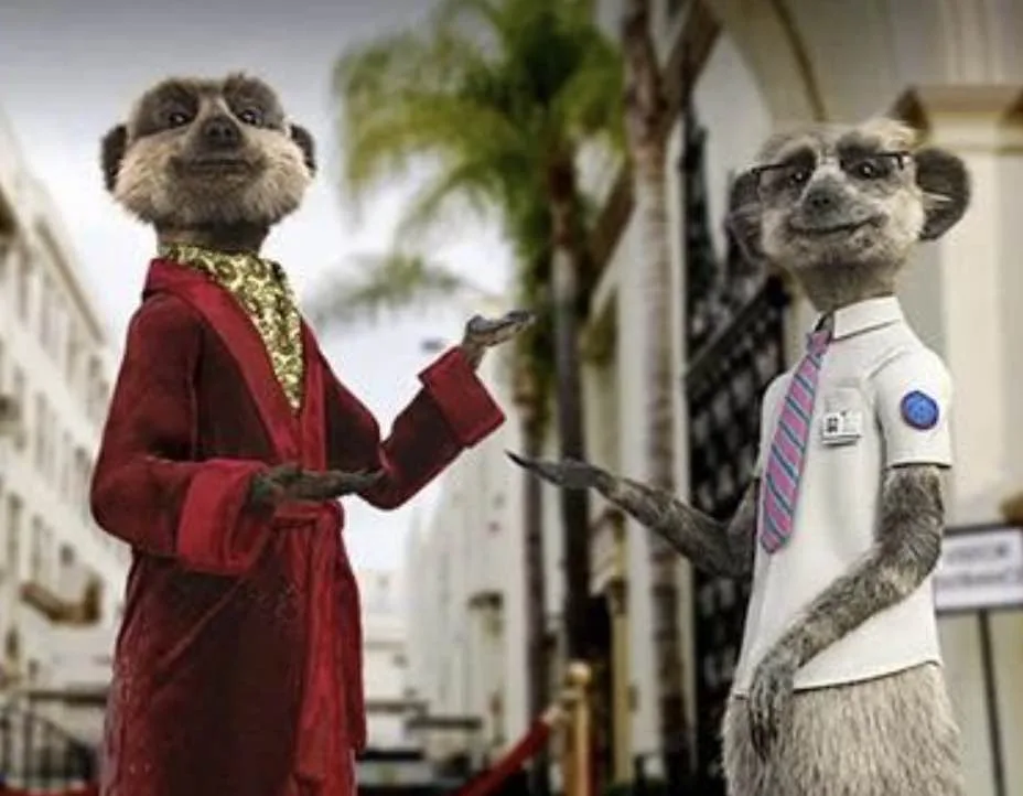 Comparethemarket Drops Russian Meerkat Ads Amid Ukraine War Sensitivity
