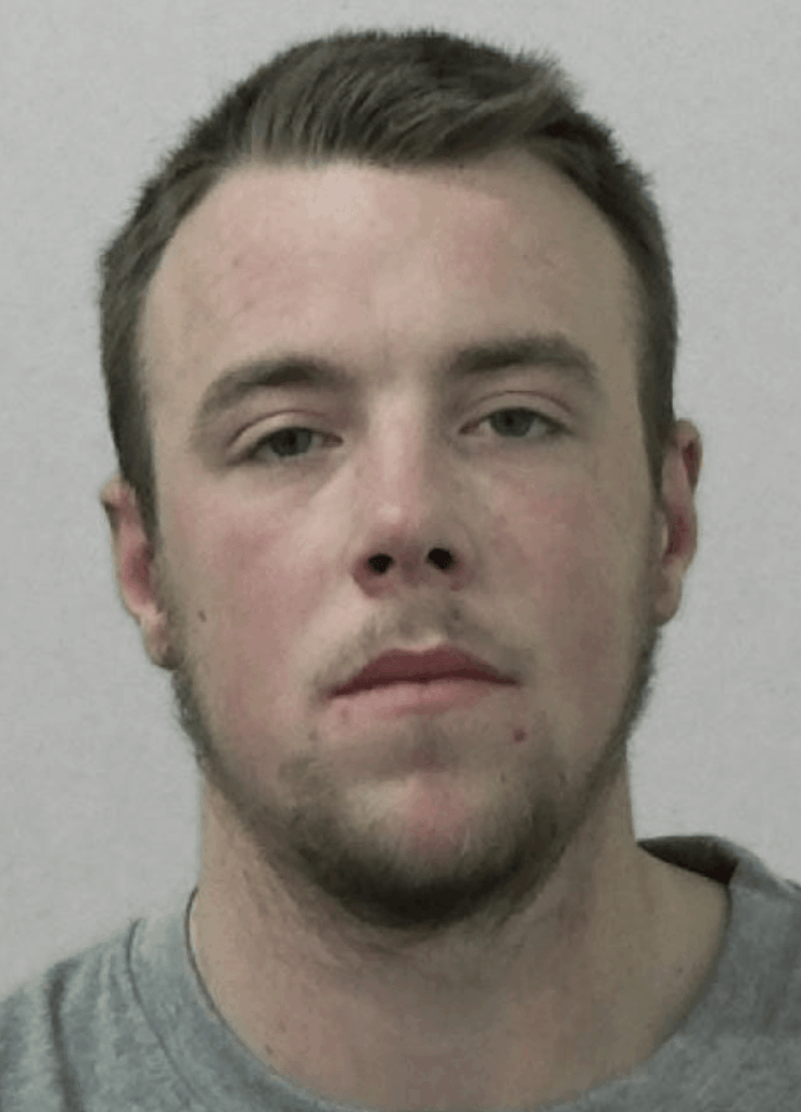 A dangerous driver who caused the death of his girlfriend after colliding with a truck has been jailed