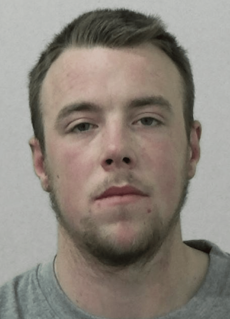 A dangerous driver who caused the death of his girlfriend after colliding with a truck has been jailed