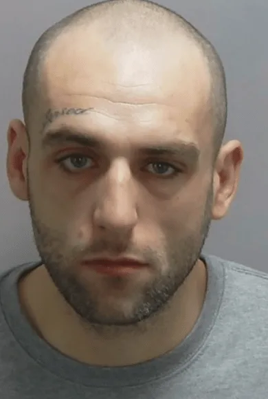Drunken Burglar Louis Bibby Jailed Nearly 7 Years for Brutal Assault and Portsmouth Burglary