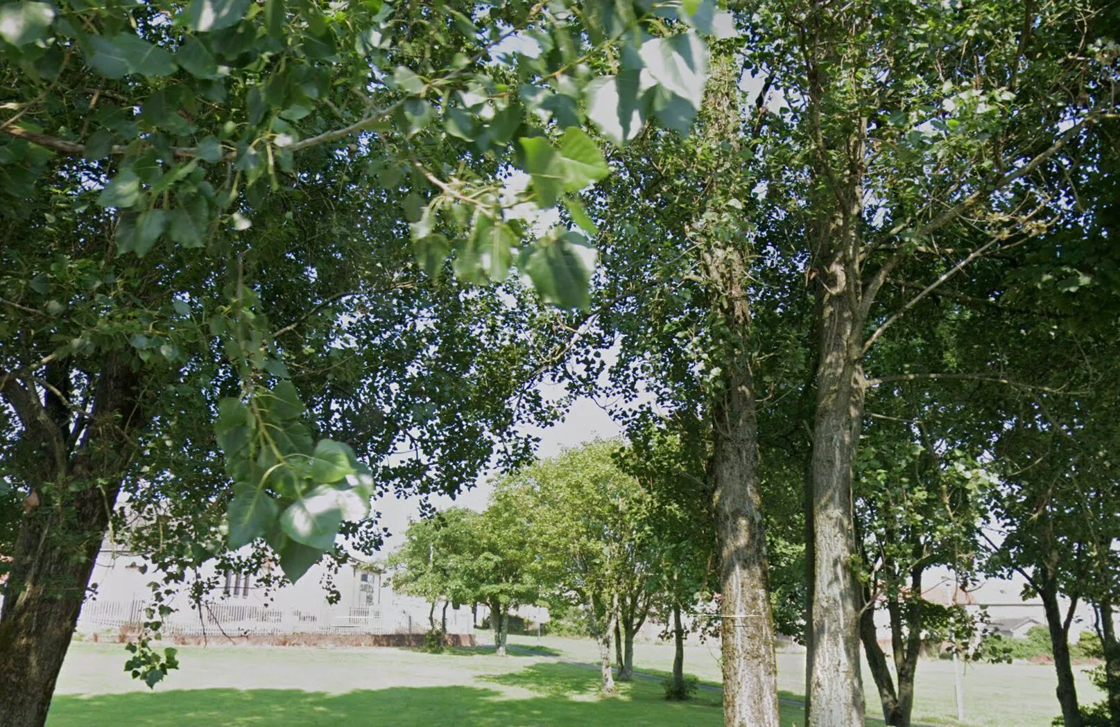 Man Stabbed in Late-Night Hawkhill Place Attack – Police Appeal for Witnesses