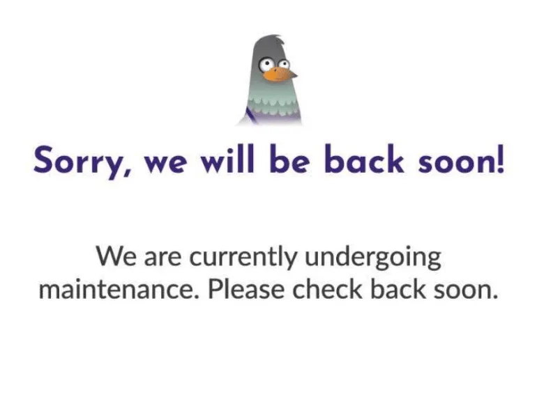Funky Pigeon Cyber Attack Halts Orders but Payment Data Safe, Investigation Underway