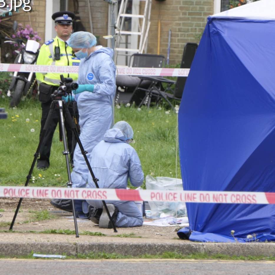 A man has been arrested on suspicion of murder following a stabbing in Pinner