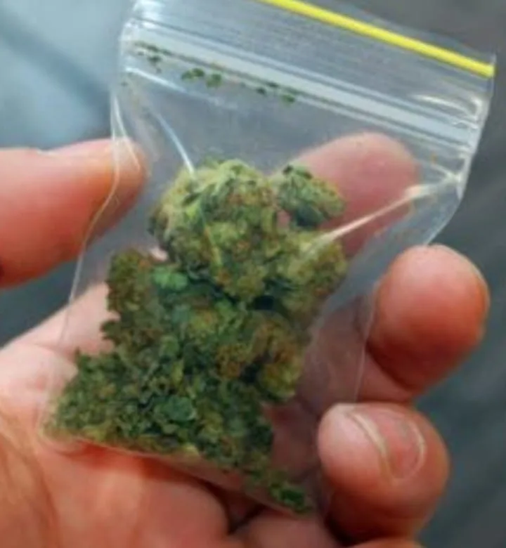 Southampton Dealer Nabbed with £32,500 Cannabis Haul Gets Suspended Sentence