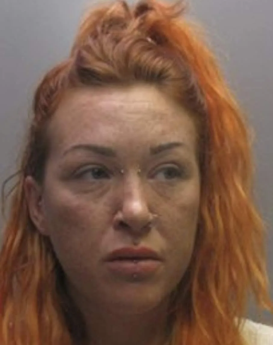Drunk Driver Jailed for Horrific A1(M) Crash That Killed Family Dog and Left Woman Paralyzed