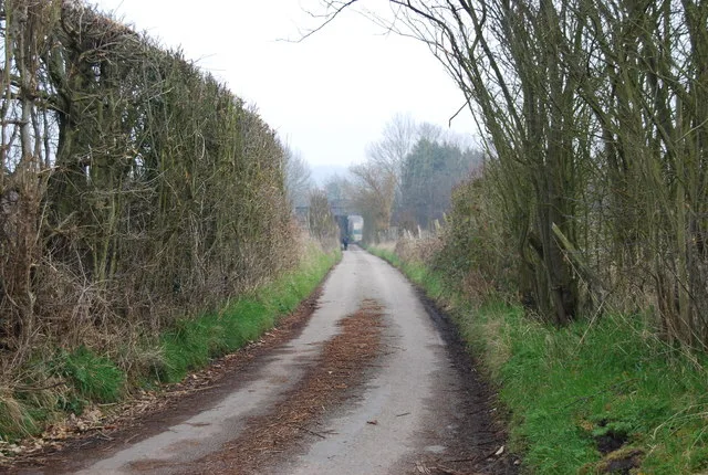 Woman Bitten by Large Black Poodle in Tonford Lane – Kent Police Seek Blonde Owner Witnesses
