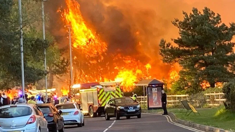 Massive Canford Heath Fire Sparks Evacuation in Dorset – Police Urge Witnesses to Come Forward