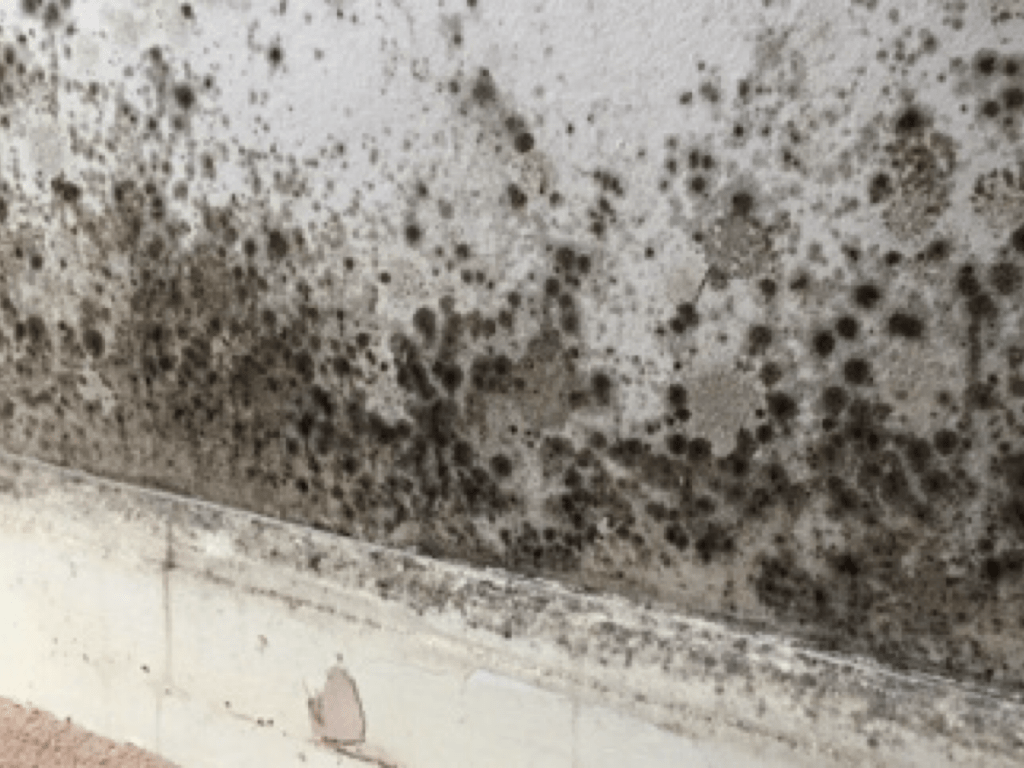 Housing Ombudsman Finds Severe Failings by Guinness Partnership