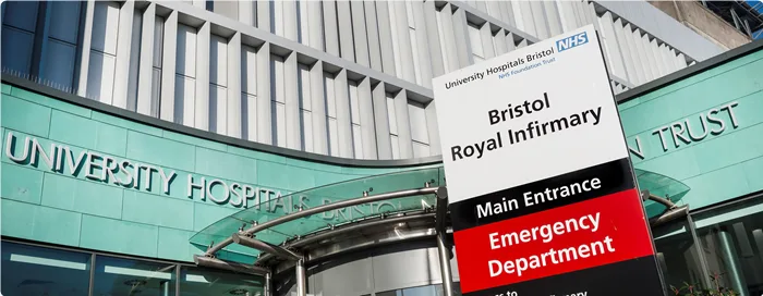 Toddler Fighting for Life After Large Family Dog Attack in Cheltenham Home