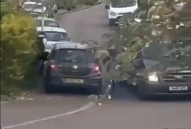 Four Arrested After Brutal Abbots Langley Stabbing Brawl – Victim Airlifted to Hospital