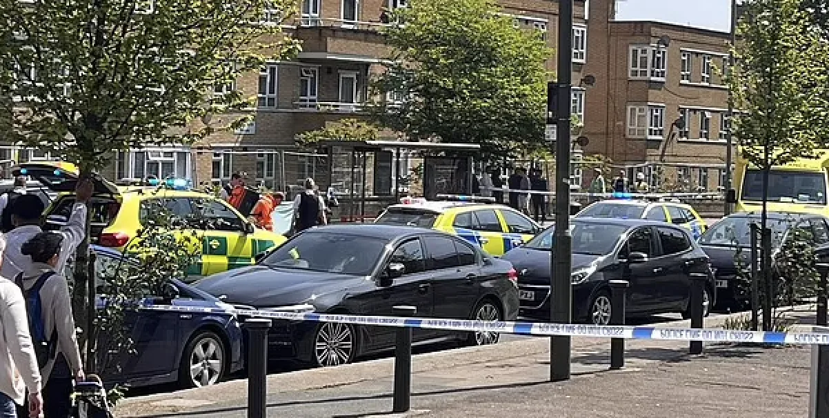 Burnt Oak Woman, 66, Stabbed to Death – 22-Year-Old Jalal Debella Charged with Murder