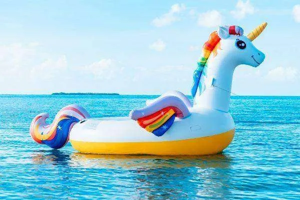 Girl and Rescuer Saved After Inflatable Toy Drifts Out to Sea at Selsey – Coastguard Issues Safety Warning