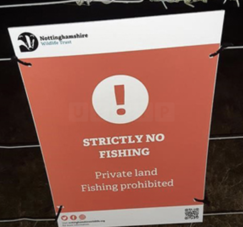 Pair handed five-year criminal behaviour orders for illegal fishing