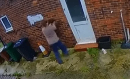 Dog Walker Who Slammed Spaniel Against Wall Gets Community Order and 12-Month Animal Ban