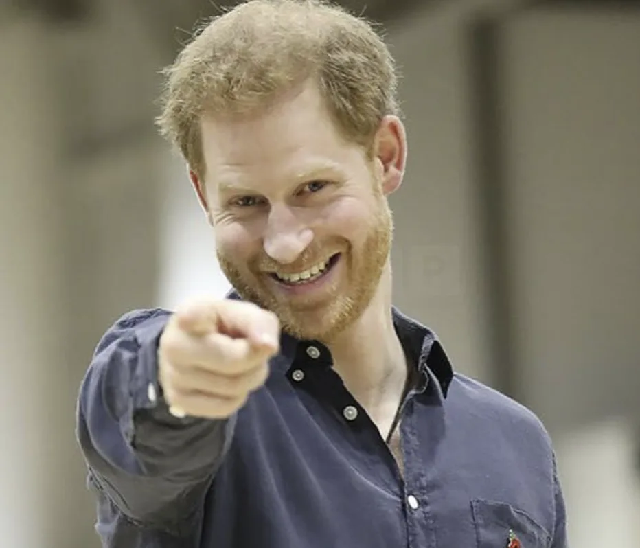 Prince Harry Wins Crucial Right to Appeal Police Protection Cut Ruling