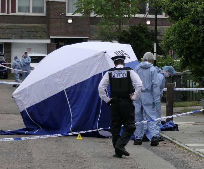 Deptford Stabbing Tragedy: Police Seek Witnesses After 21-Year-Old Robert Robinson Killed