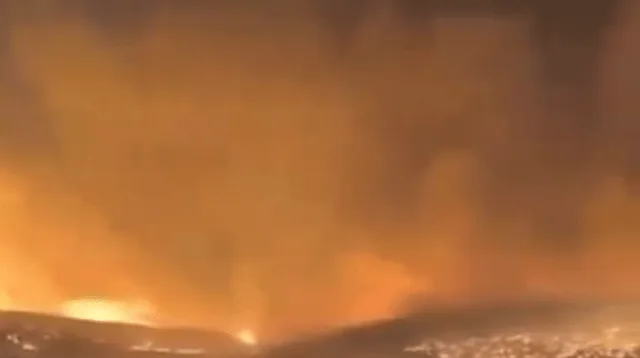 Deadly Wildfires Kill 11 in Southeastern Turkey as Blaze Destroys Villages and Sparks Government Probe