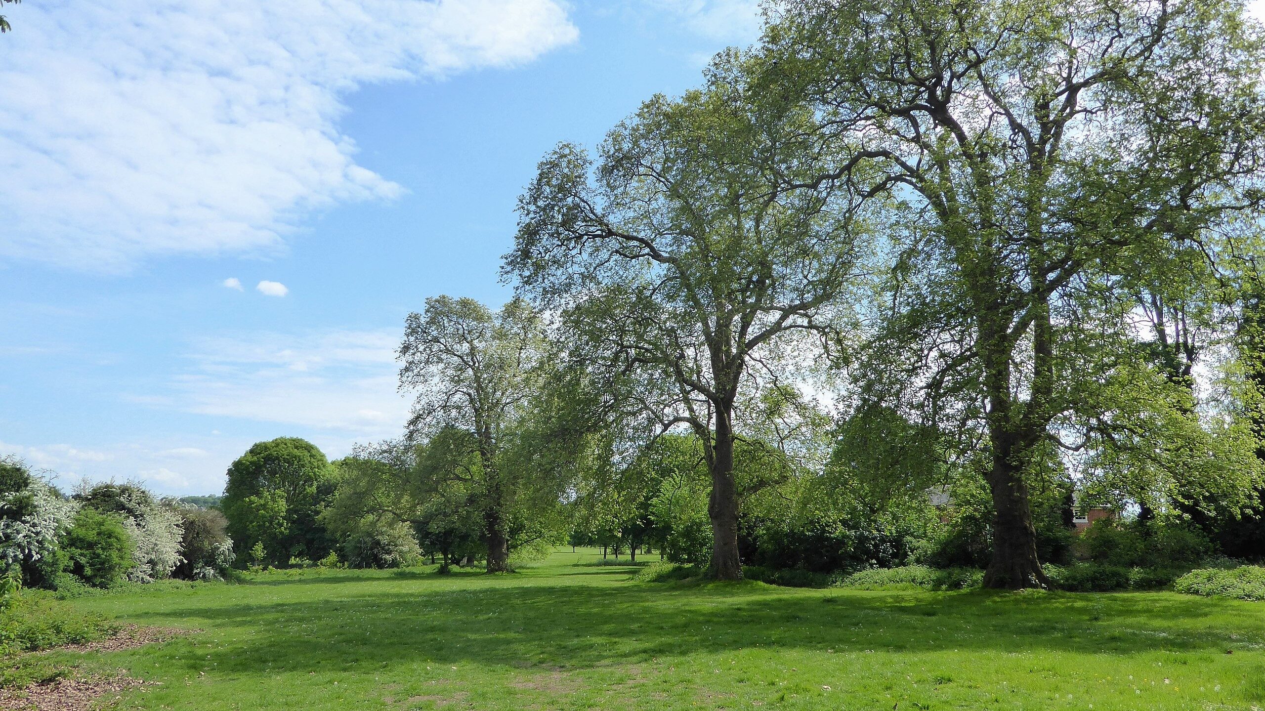 Potential Human Bones Found at Sidcup’s Foots Cray Meadows Sparking Police Probe