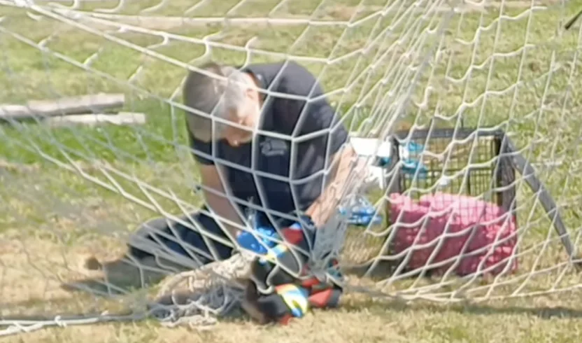 Heroic Rescue as Fox Cub Freed from Football Netting in East Sussex Park