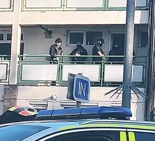 Armed Police Arrest Two Men After Machete-Brandishing Brawl in Hemel Hempstead