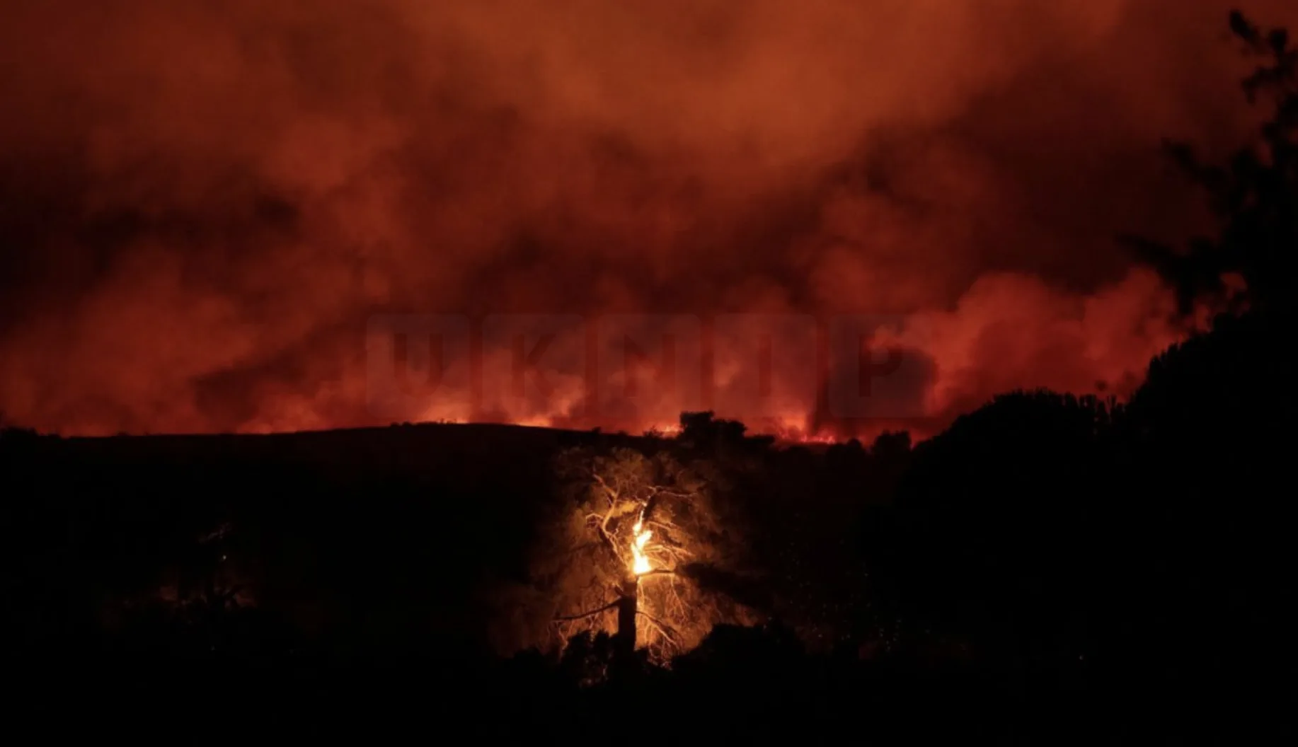 Greece Ravaged by Wildfires as Scorching Heat Forces Thousands to Flee Homes