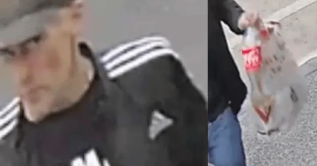 Fulwell and Roker on Edge as CCTV Snaps Carrier Bag Suspect Trying Car Doors