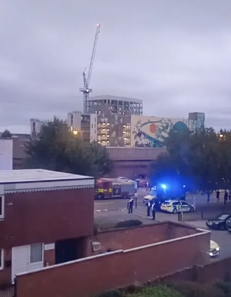 Youths Perch on Brentford Crane Sparks Police and Fire Rescue Operation