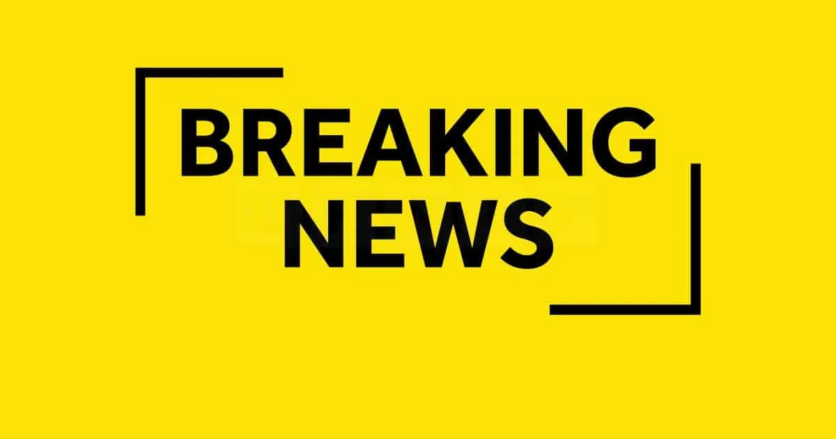 Three Teenage Girls Charged with Manslaughter After 75-Year-Old Man Dies in Seven Sisters Road Attack