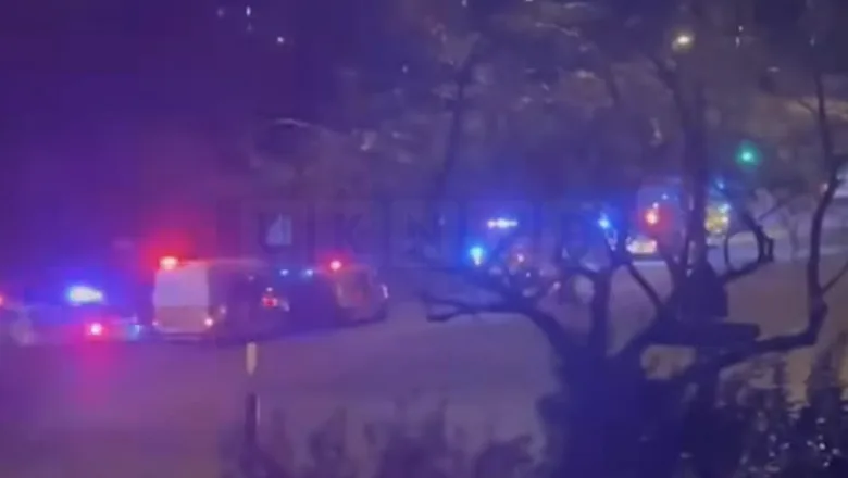 Man Found Dead in Bell Hill Woodland, Northfield – Police Confirm No Suspicion in Death